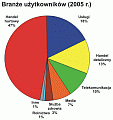 Statystyki outsourcingu za 2005 rok